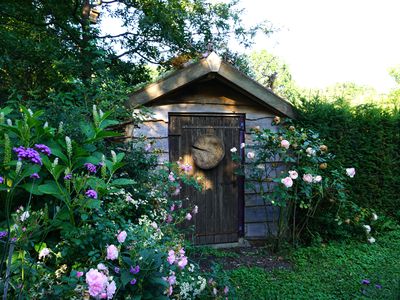 Flowers and plants planting farm garden with little small cottage or shed. Nice green natural gardening concept. Look like a nice english green garden.