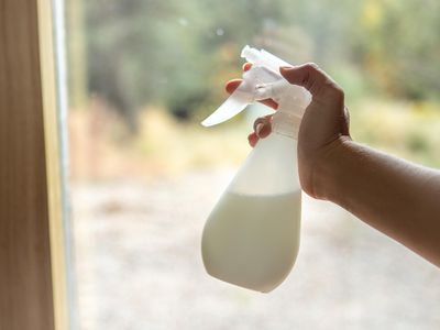 hand shows off DIY neem and castile soap spray as natural insecticide in front of window