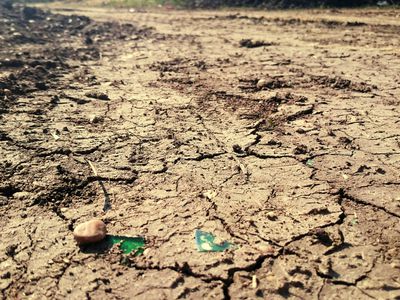 Dried river bed during a drought