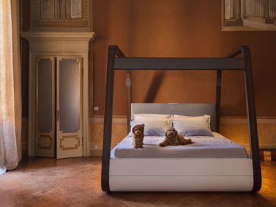 Canopy bed with dogs