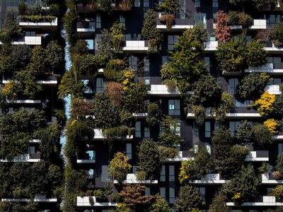 Trees on the Bosco Verticale