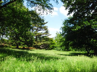 View of a grassy field Mount Manresa