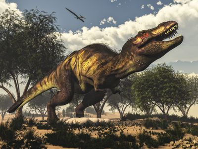 Illustration of large toothed dinosaur, possibly a tyrannosaurus rex standing over nest of eggs and seeming to possibly defend the nest from a flying