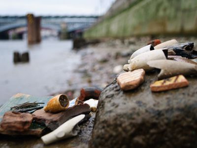 Objects found in the mud on the foreshore of the Thames River.