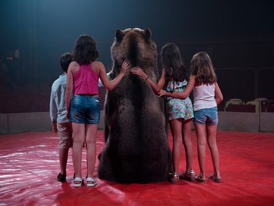 Tima the brown bear of the Gran Circo Holiday circus poses for a photo with children