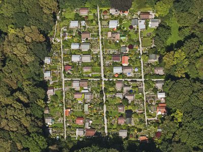 Allotment garden, aerial view