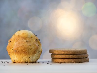 A muffin and cookies on the counter, with ants scattered around the food