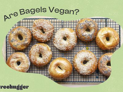 are bagels vegan photo illustration