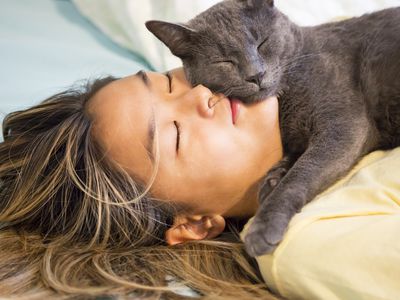 Asian teenager snuggles with her gray cat