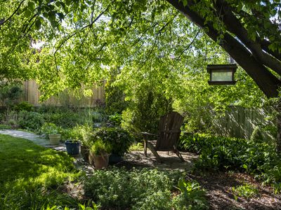 Backyard Oasis