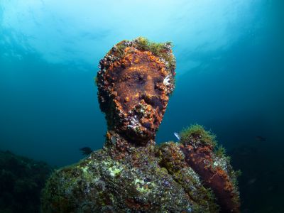 Submerged statue head covered in aquatic plants