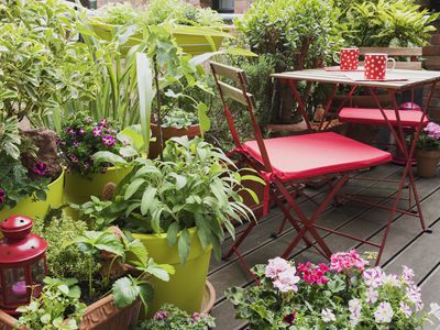 Balcony filled with large variety of potted herbs and flowers