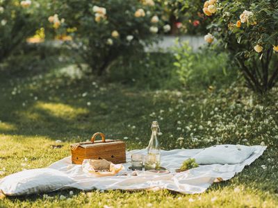 Beautiful summer picnic outdoor with tasty food and lemonade.