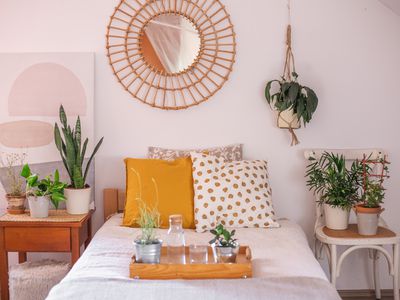 used and thrift store furniture in a bedroom with a breakfast tray and plants