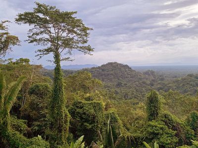 overlooking the Maya Golden Landscape's rainforest and mountains in southern belize