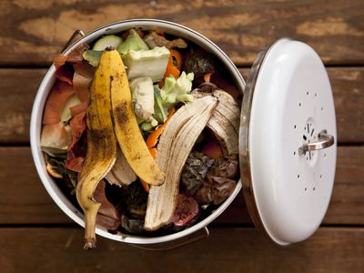 bin full of household food scraps ready for composting