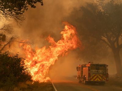 Fire Truck Extinguishing Forest Fire