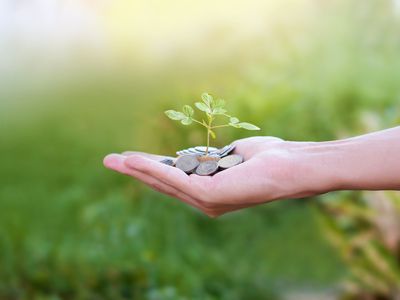 Close-Up Of Hand Holding Coins And Plant