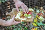 hands scrape food scraps from cutting board into open cold compost bin outside