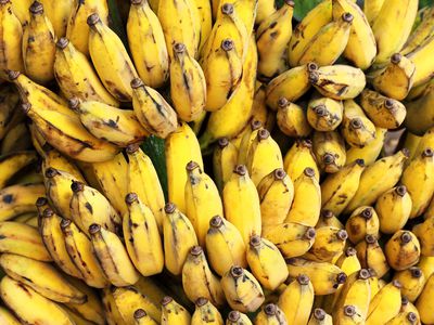 cultivated gros michel bananas branch ripe