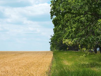 difference between agricultural fields