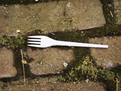 disposable plastic fork on the ground