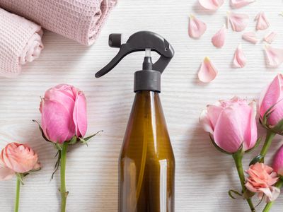 flat lay fresh pink roses and petals with reusable brown glass bottle spray