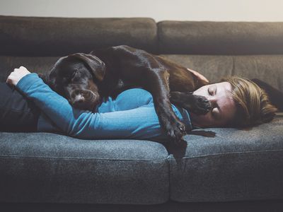 Sleeping dog lying on sleeping woman.