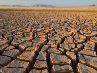 Cracked mud in a dry ephemeral pan in the Southern Namib