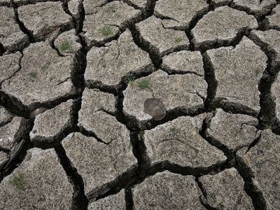 Cracked silt on the bank of the Fu River, a tributary of the Yangtze River, seen on August 25, 2022 in Wuhan, Hubei Province, China. 