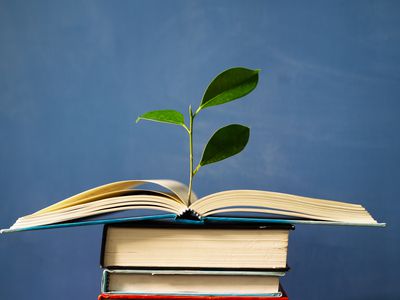 Education concept,book and tree