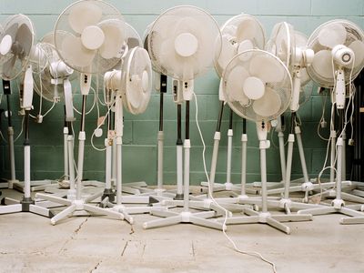 A row of white electric fans of all sizes against a sea foam green wall.