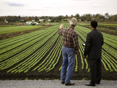 Farmer and Banker looking at crops.