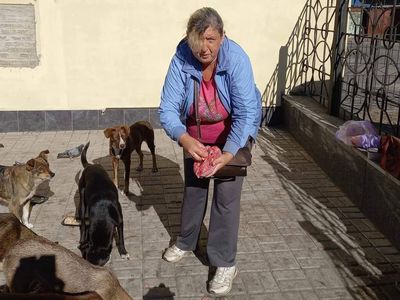 Alina Bondarenko feeds dogs in Ukraine