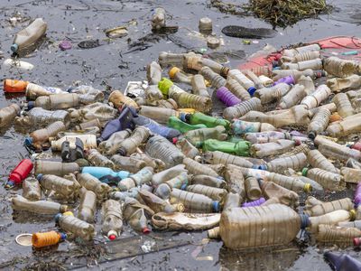 CARDIFF, UNITED KINGDOM - APRIL 09: Single use plastic bottles seen floating in polluted water near Cardiff Bay in Cardiff, United Kingdom.