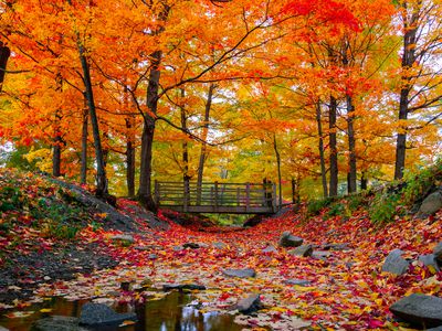 Beautiful fall foliage in the northeast USA