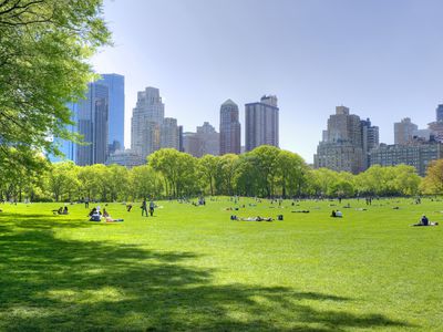 Wide expanse of green lawn in New York's Central Park with Manhattan's skyline in the distance under a clear blue sky