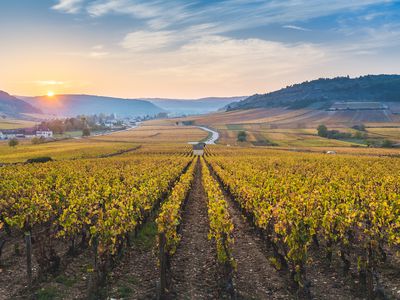 France, Bourgogne-Franche-Comte, Burgundy, Cote-d'Or, Cote de Beaune vineyards.