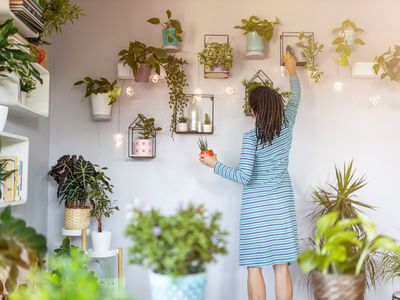 Young Woman Reaching Up to Potted Plants Hung on Wall