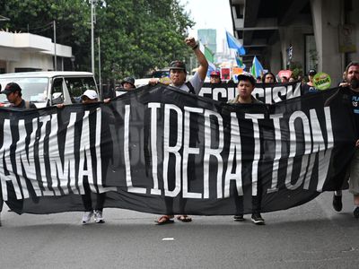 Animal rights activists protesting