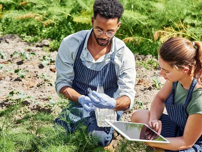 Two young botanists, one male and one female, use a digital tablet while fertilizing crops and plants outdoors on a farm