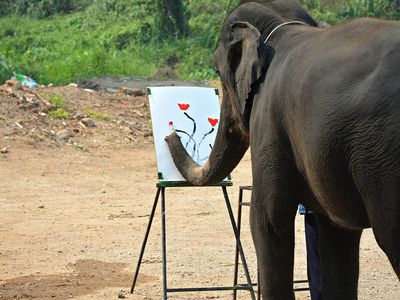 Elephant painting on easel