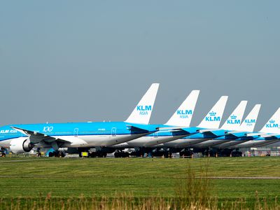 Fleet of KLM airplanes on a grassy field in an airport