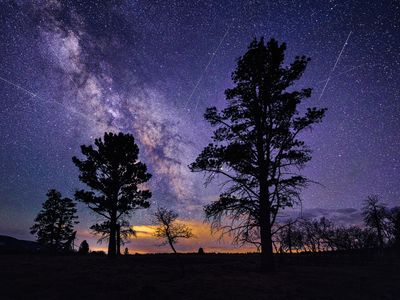 Lyrid Meteor Shower