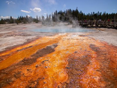 Microorganisms in a super-heated hot spring