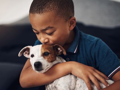 young POC boy hugs and kisses new mixed breed puppy