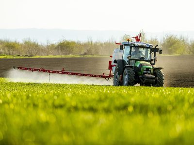 Farmer spreading fertilizer on crops