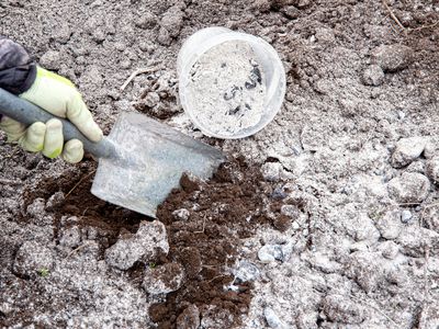 Wood ash in garden; hand holding shovel mixing in wood ash