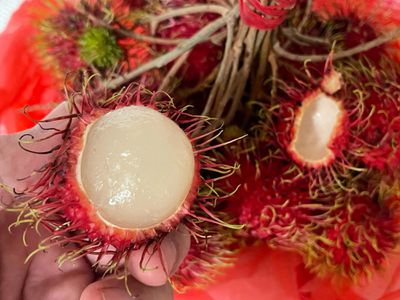 Inside fruit of a rambutan