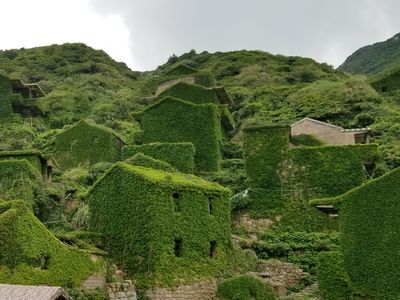 A village that is overgrown with greenery